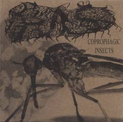 HAS : Coprophagic Insects - Session #3